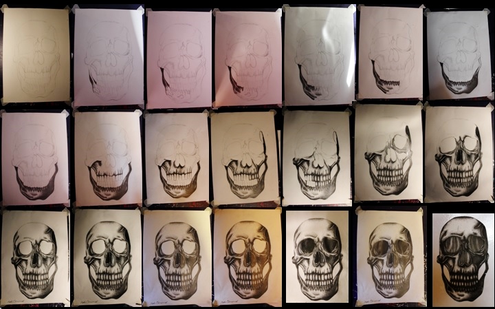 Skull progress drawing